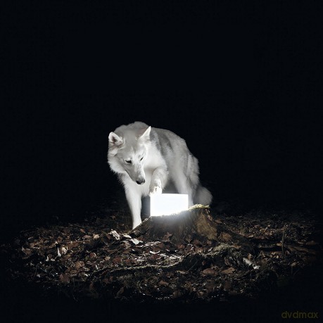 Vanishing Life: Surveillance [Winyl]