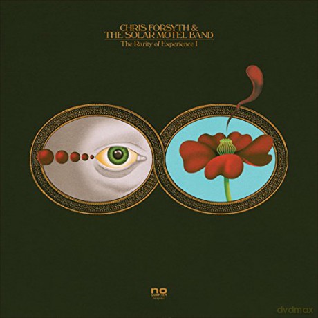 Chris Forsyth: Rarity Of Experience [2CD]
