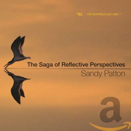 Sandy Patton: The Saga Of Reflective Perspectives [CD]