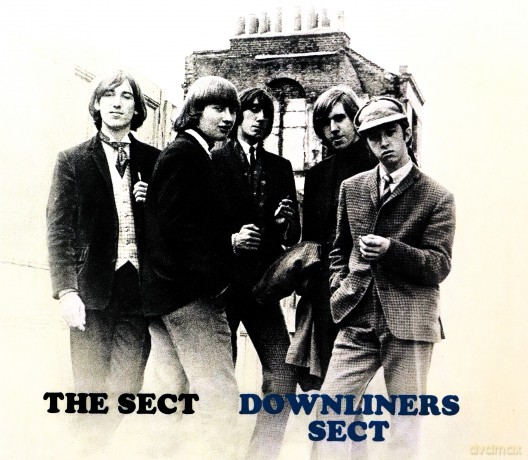 Downliners Sect: The Sect [CD]