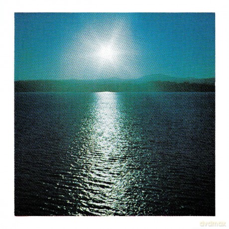 Joanna Brouk: The Space Between [Winyl]