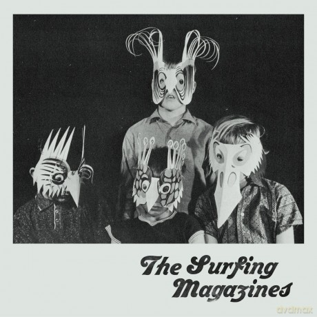 Surfing Magazines: The Surfing Magazines [Winyl]