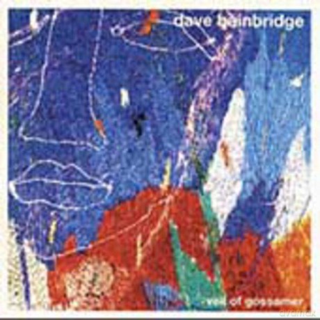 Dave Bainbridge: The Veil Of Gossamer [CD]
