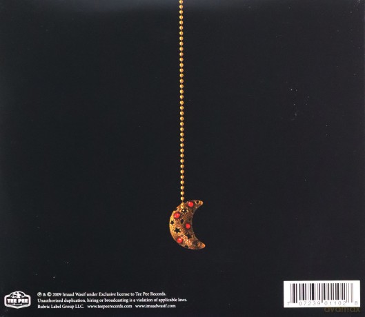 Imaad Wasif: The Voidist [CD]
