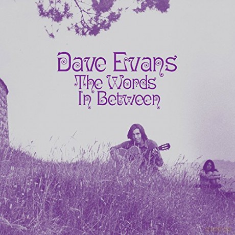Dave Evans: The Words Inbetween [Winyl]