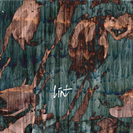 Lint: Then They Came For Us [CD]