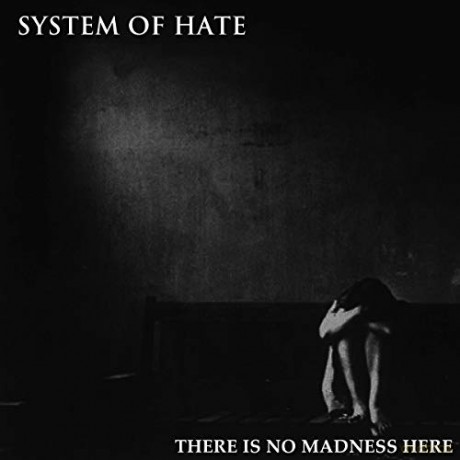 System Of Hate: There Is No Madness Here [Winyl]