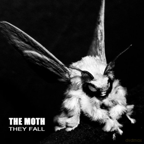Moth: They Fall [CD]