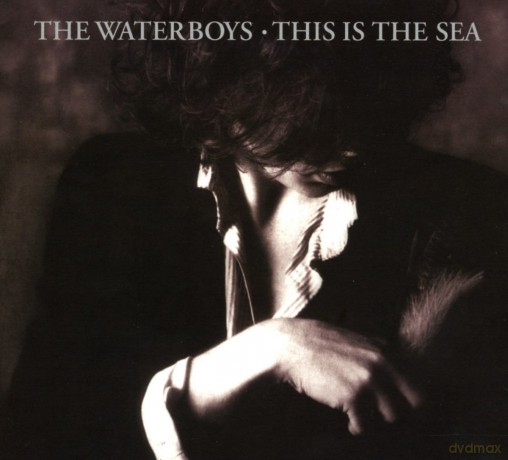 Waterboys: This Is The Sea (Collectors) [2CD]