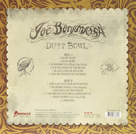 Joe Bonamassa: Dust Bowl [Winyl]