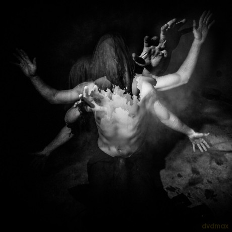 Nephilims Howl: Through The Marrow Of Human Suffering [CD]