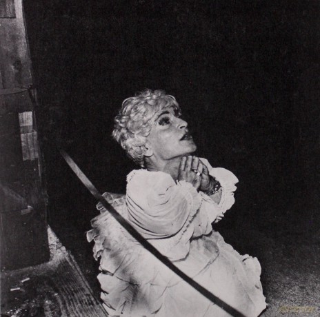 Deerhunter: Halcyon Digest [Winyl]