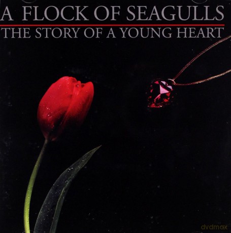 A Flock Of Seagulls: The Story Of A Young Heart [CD]