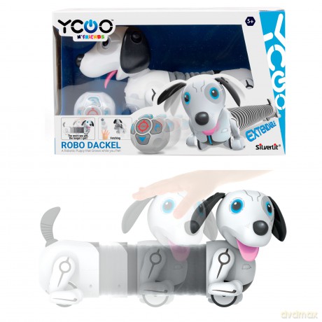 DUMEL Zigito