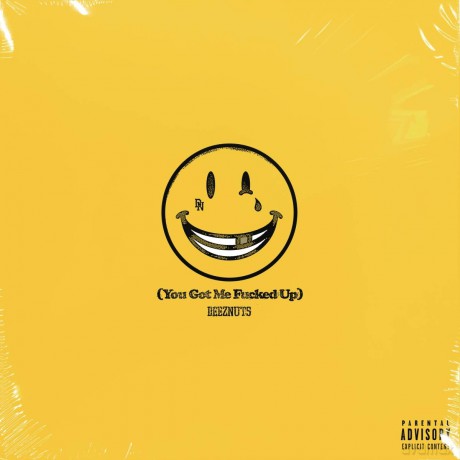 Deez Nuts: You Got Me Fucked Up [Winyl]+[CD]