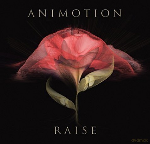 Animotion: Raise Your Expectations [Winyl]