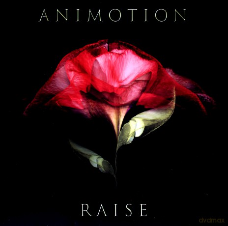 Animotion: Raise Your Expectations [Winyl]