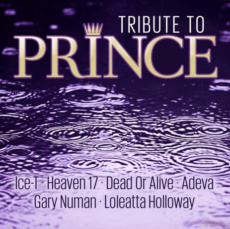 Tribute To Prince [CD]