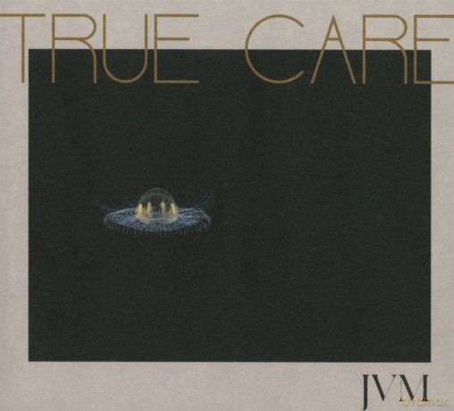 James Vincent Mcmorrow: True Care [CD]