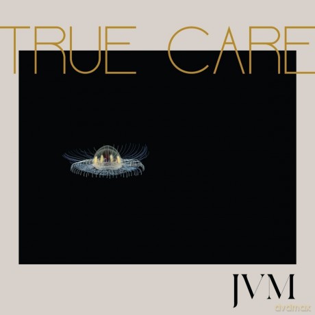 James Vincent Mcmorrow: True Care [2xWinyl]