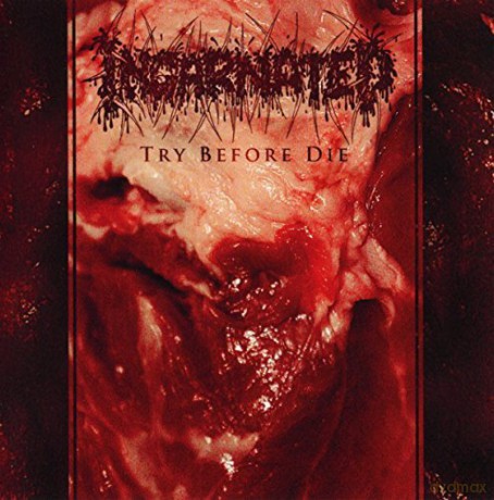 Incarnated: Try Before Die [CD]