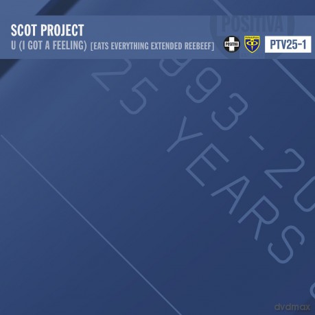 Scot Project: U (I Gotta Feeling) [Winyl]
