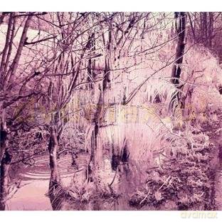Esben And The Witch: Violet Cries [CD]