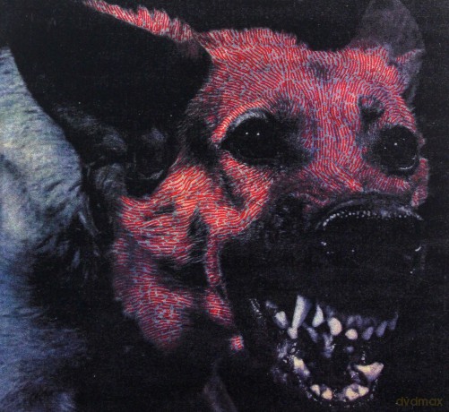 Protomartyr: Under Color Of Official Right [CD]