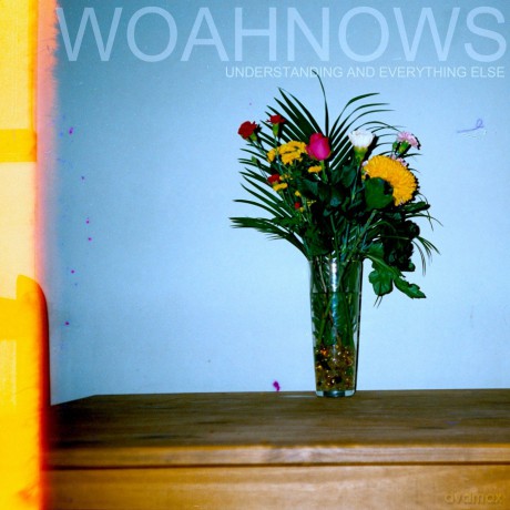 Woahnows: Understanding And Everything Else [Winyl]