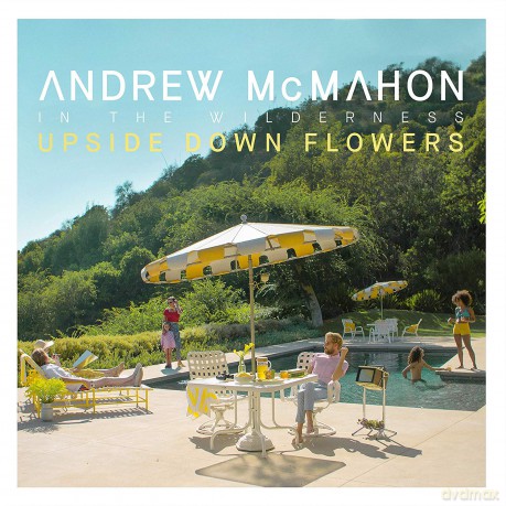 Andrew Mcmahon In The Wilderness: Upside Down Flowers [CD]