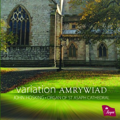 John Hosking: Variation Amrywiad [CD]