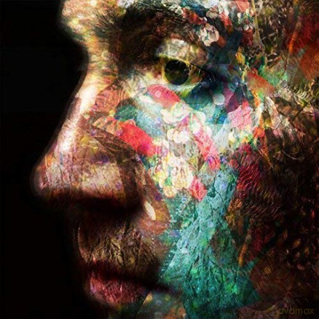 Daniel Osullivan: Veld [Winyl]