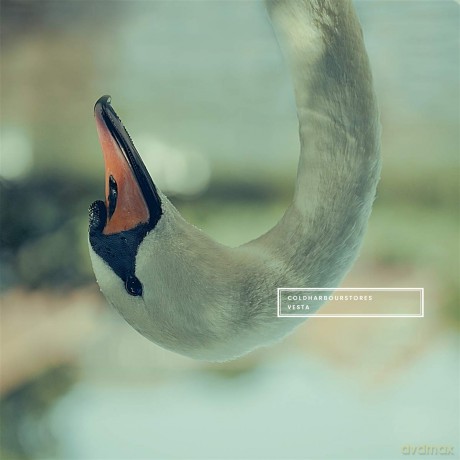 Coldharbourstores: Vesta [CD]
