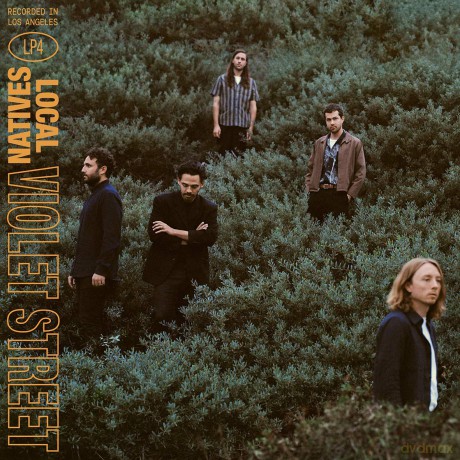 Local Natives: Violet Street [Winyl]