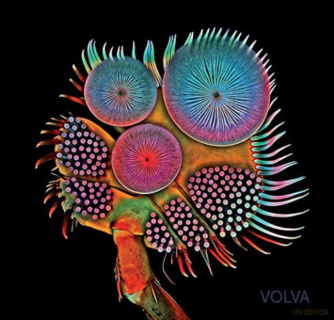 Echolot: Volva [CD]