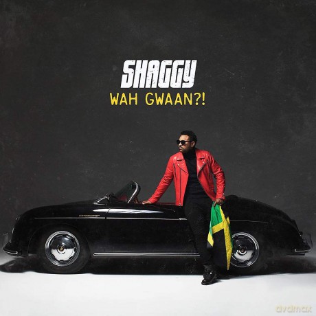 Shaggy: Wah Gwaan [2xWinyl]