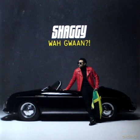 Shaggy: Wah Gwaan [2xWinyl]