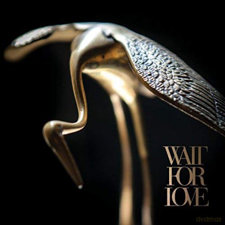 Pianos Become The Teeth: Wait For Love [Winyl]