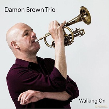 Damon Brown: Walking On [CD]