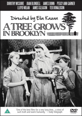 Tree Grows In Brooklyn A [DVD]