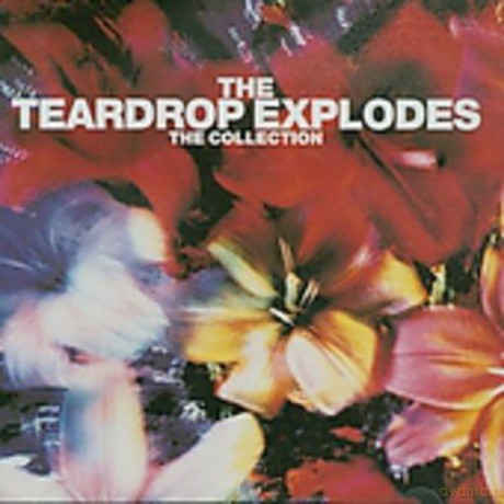 Teardrop Explodes: Collection [CD]
