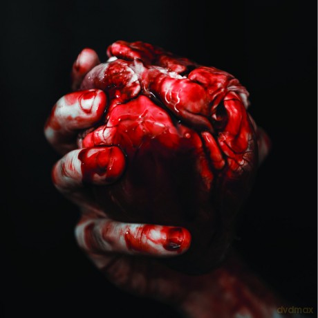 Forgotten Tomb: We Owe You Nothing [CD]
