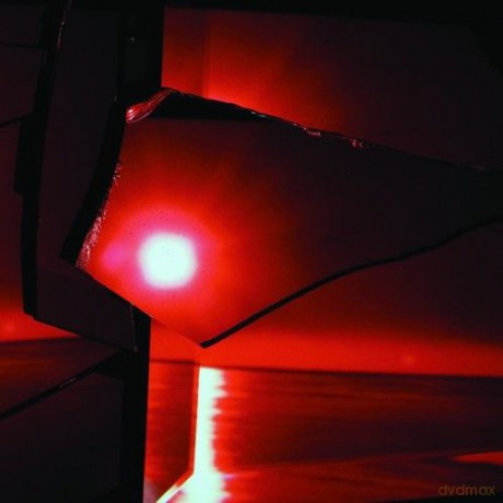 TV On The Radio: Nine Types Of Light [Winyl]