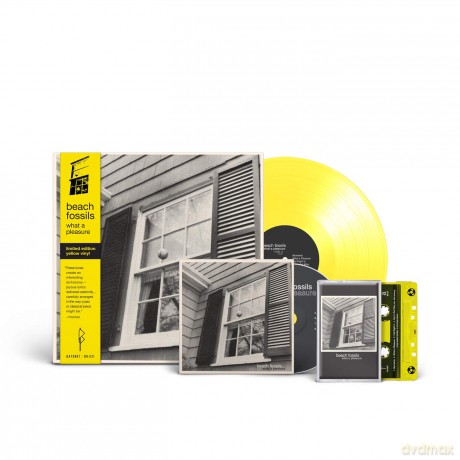 Beach Fossils: What A Pleasure [CD]