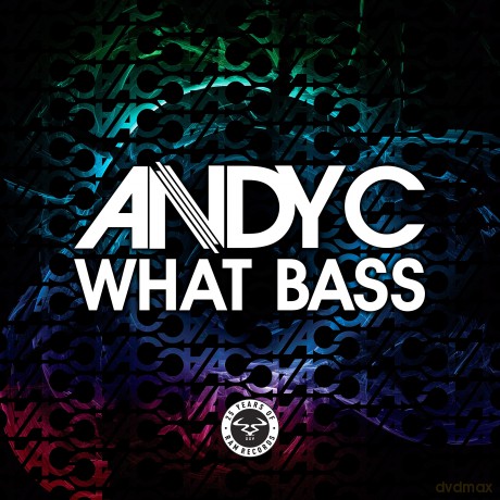 Andy C: What Bass [Winyl]
