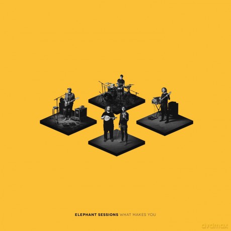 Elephant Sessions: What Makes You [CD]