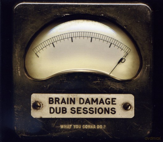 Brain Damage Dub Sessions: What You Gonna Do [CD]