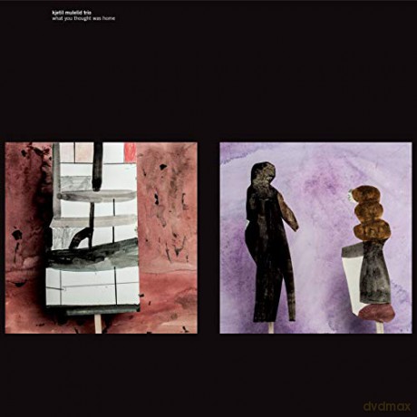 Kjetil Mulelid Trio: What You Thought Was Home [CD]