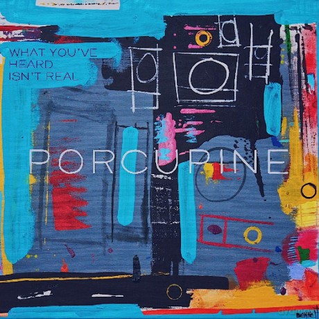 Porcupine: What Youve Heard Isnt Real [CD]