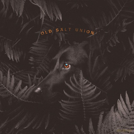Old Salt Union: Where The Dogs Dont Bite [CD]